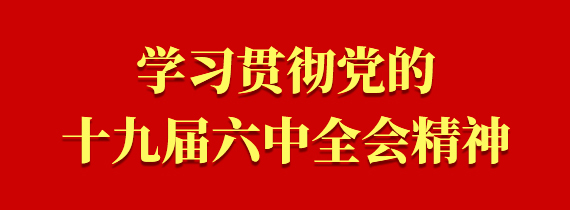 学习贯彻党的十九届六中全会精神